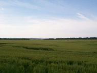 Малинівка (Гута Літинська)