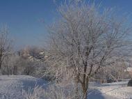 Малинівка (Гута Літинська)