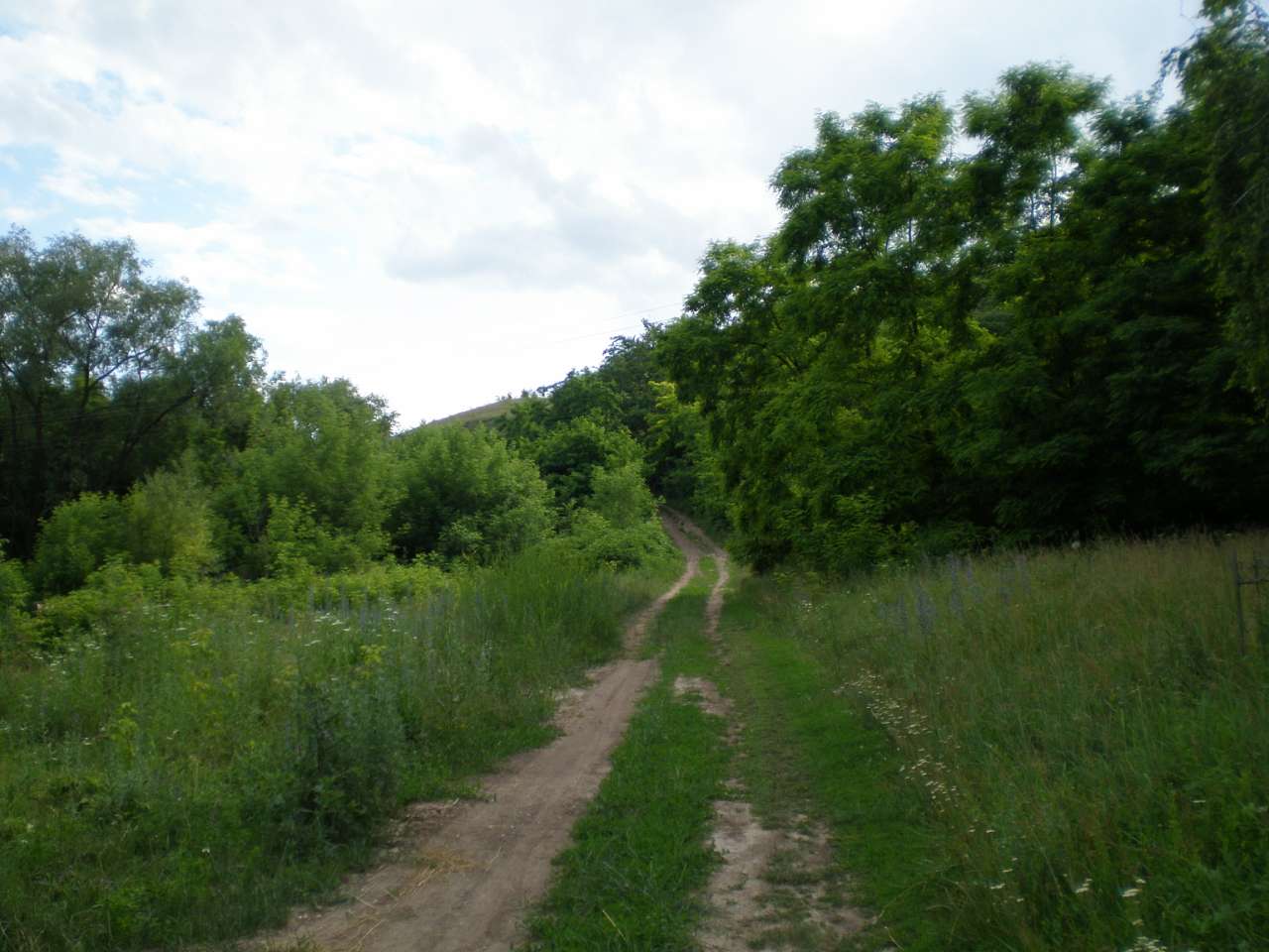 альбом№4 - Гамулівка