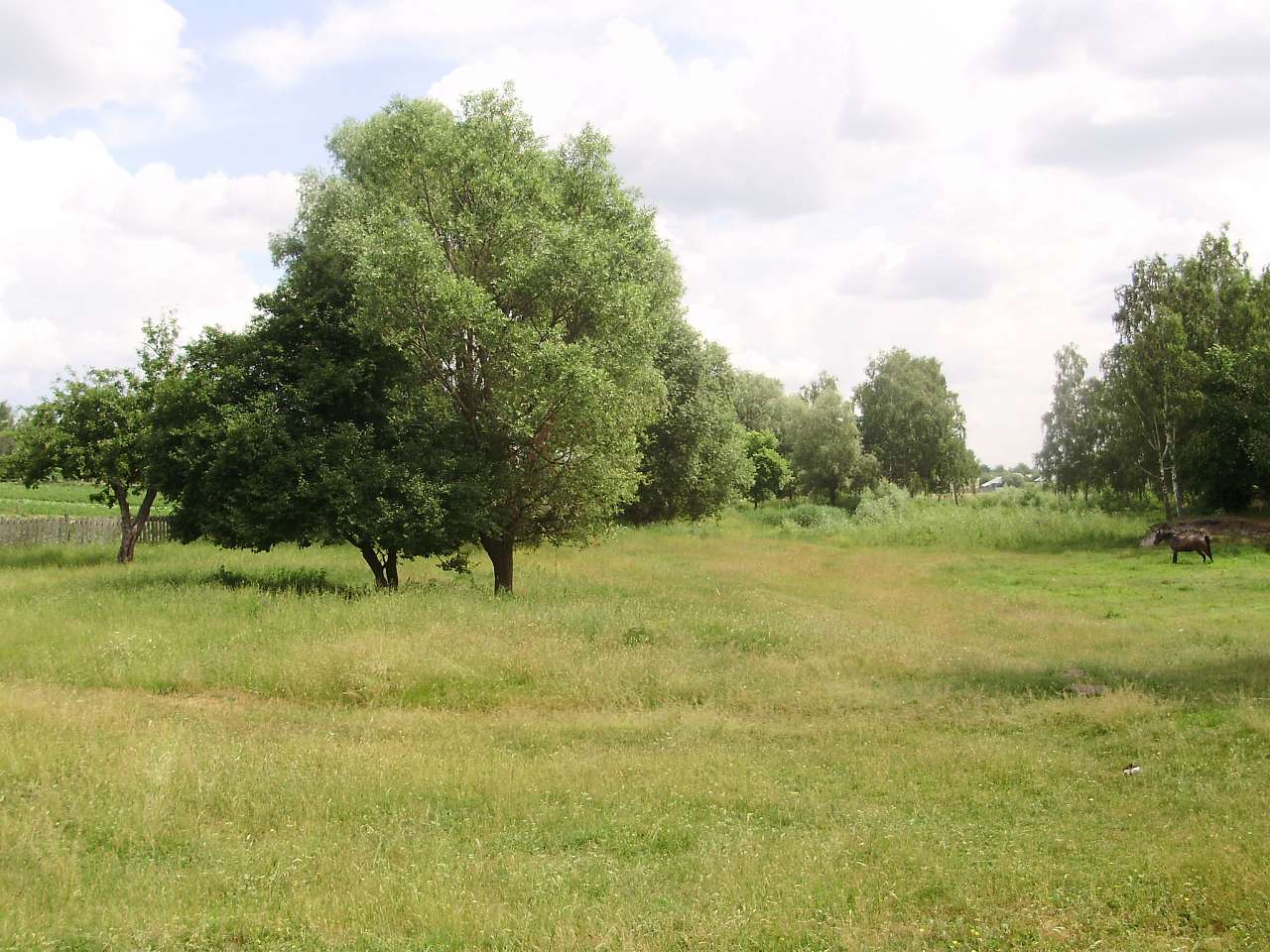 Риботин - Риботин