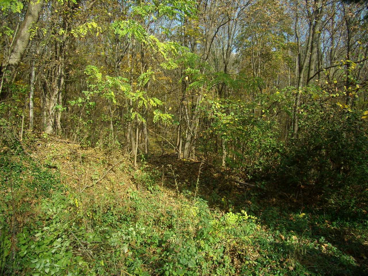 Парк Капністів - Велика Обухівка