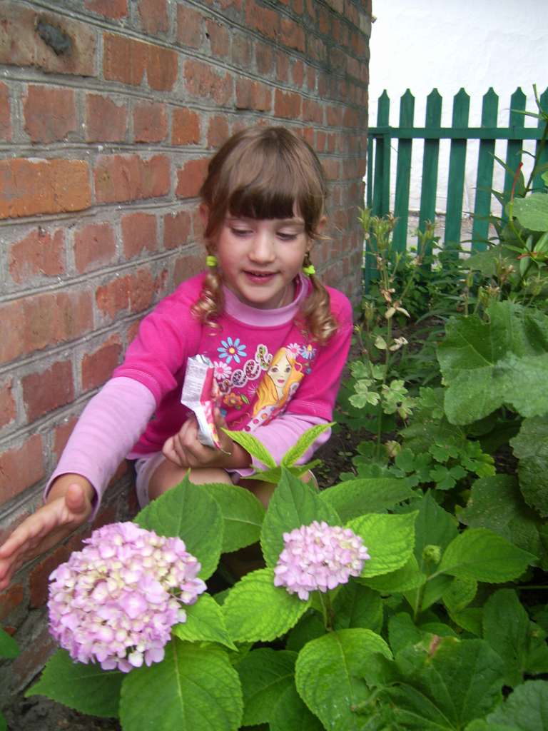 Моя сім'я - Немильня