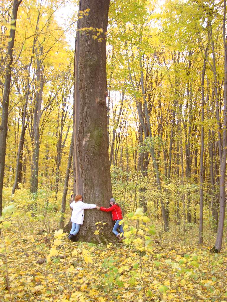 Корчi,Лозова i т.п. - Говори
