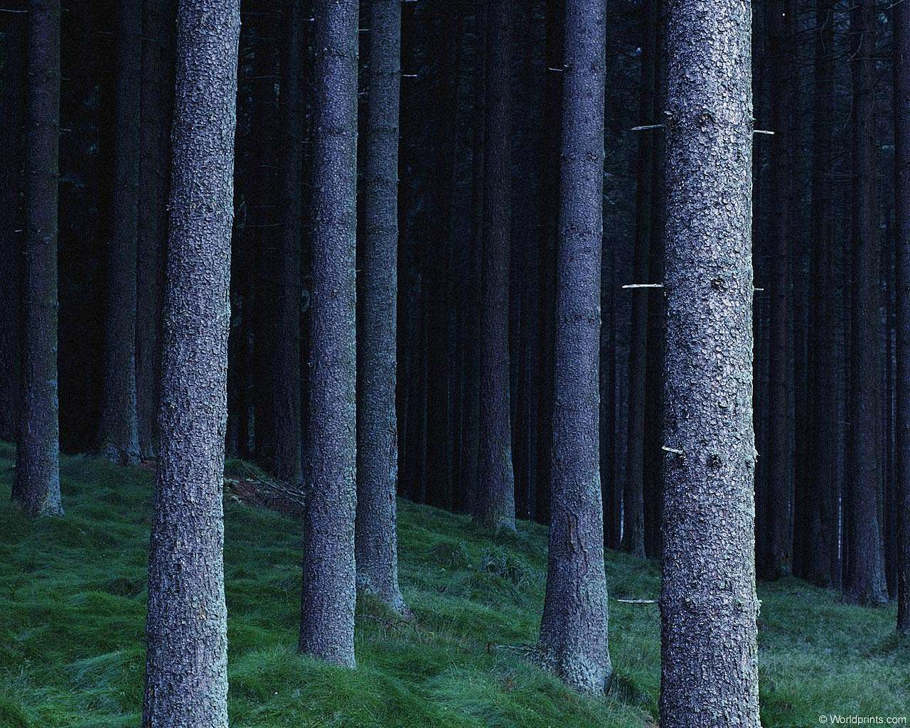   Природа - Миляч