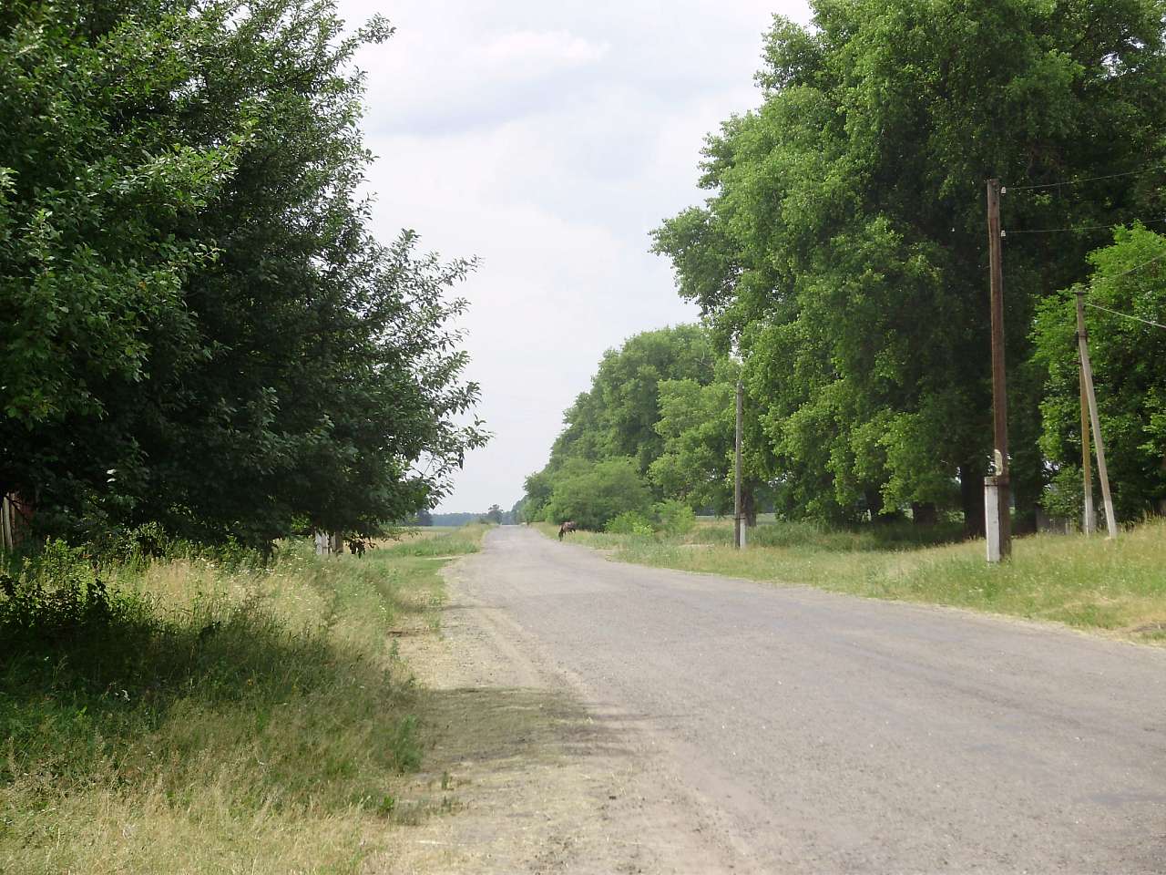 Риботин - Рыботин