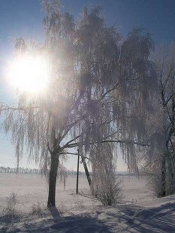 Малинівка (Гута Літинська) - Малинівка