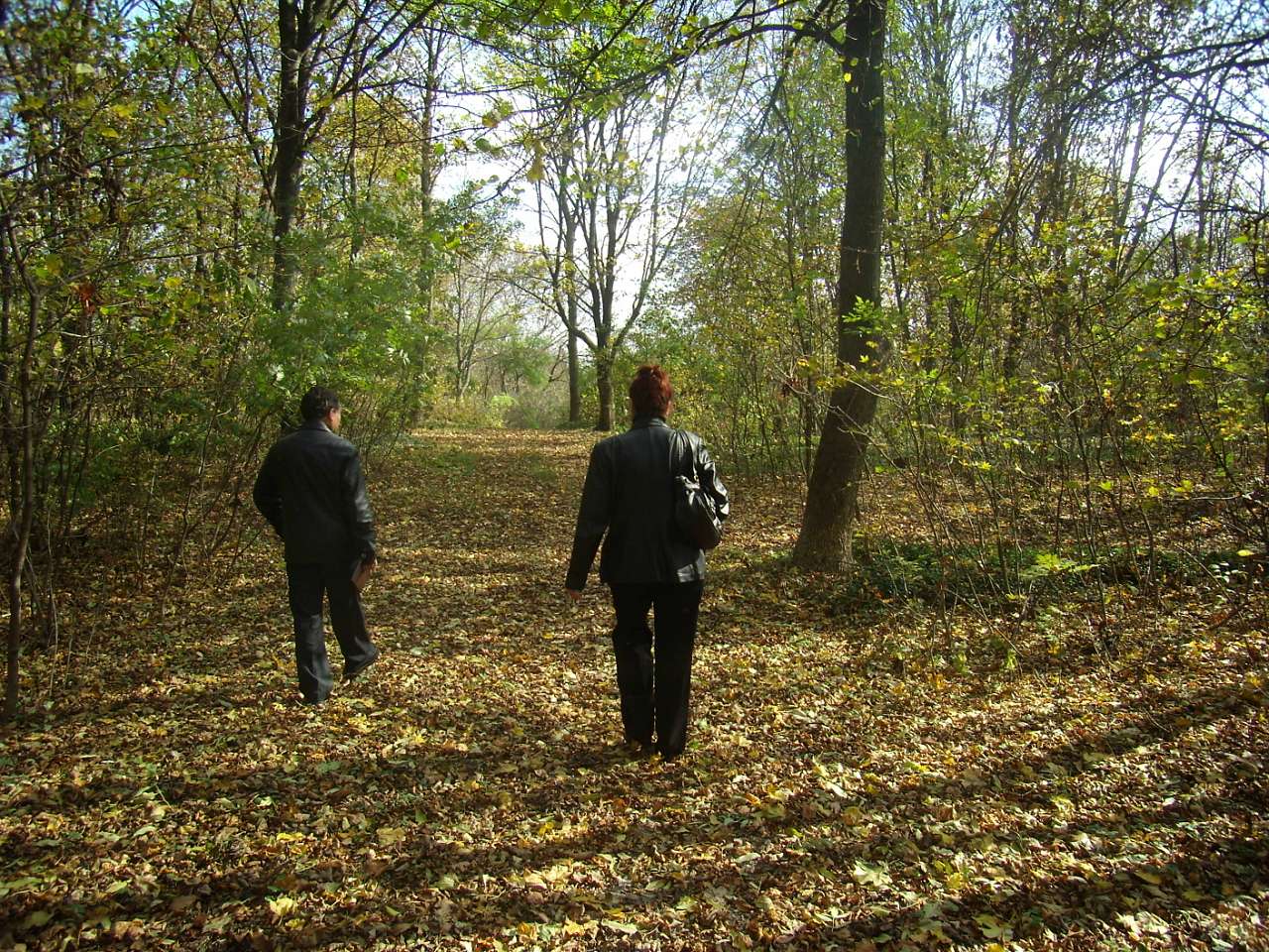 Парк Капністів - Velyka Obukhivka
