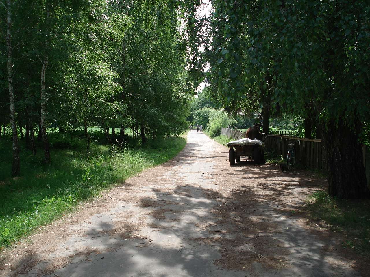 Бірківка - Бірківка