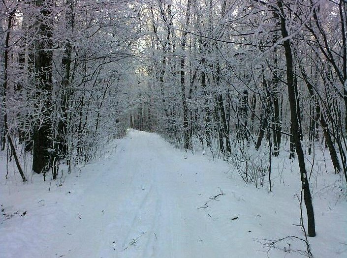 Село - Володимирівка