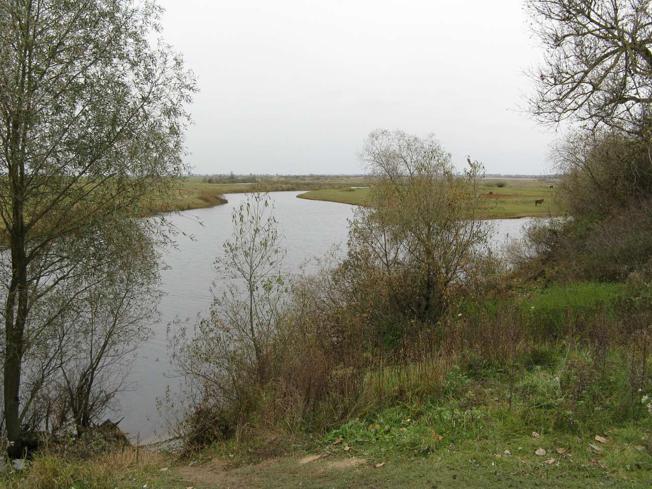 Природа - Тумень