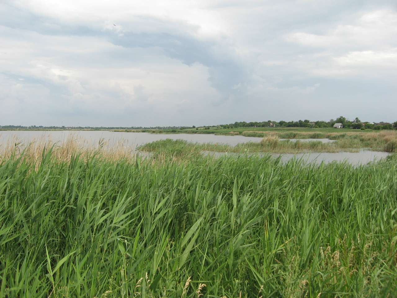 Мелiоративне - Меліоративне