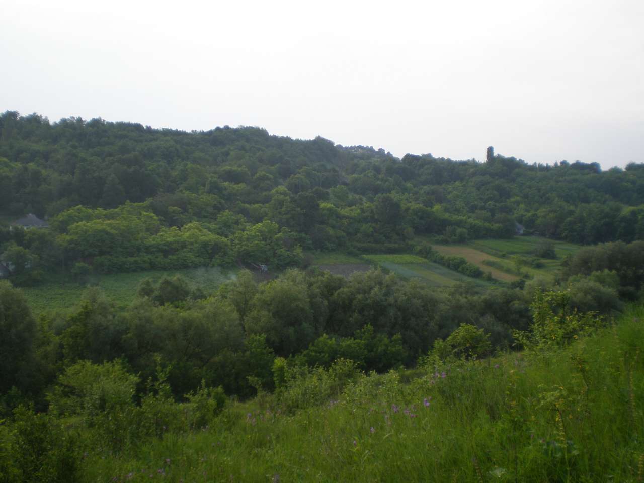 альбом№4 - Гамулівка