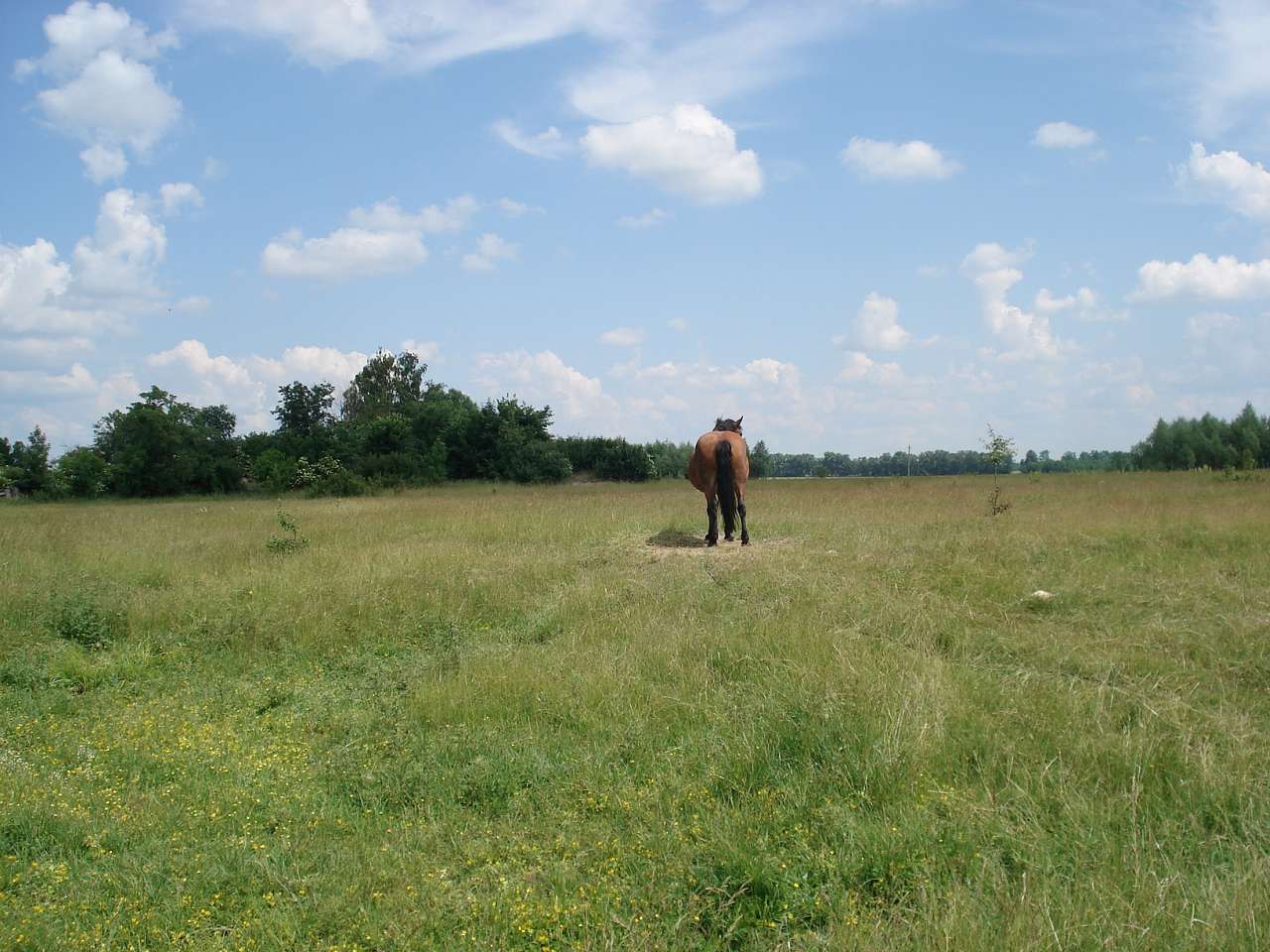 Бірківка - Бірківка