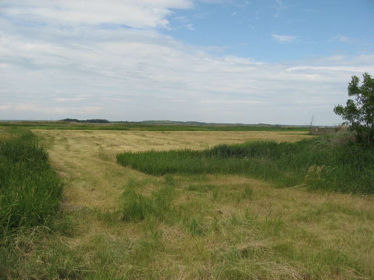 Мелiоративне - Меліоративне