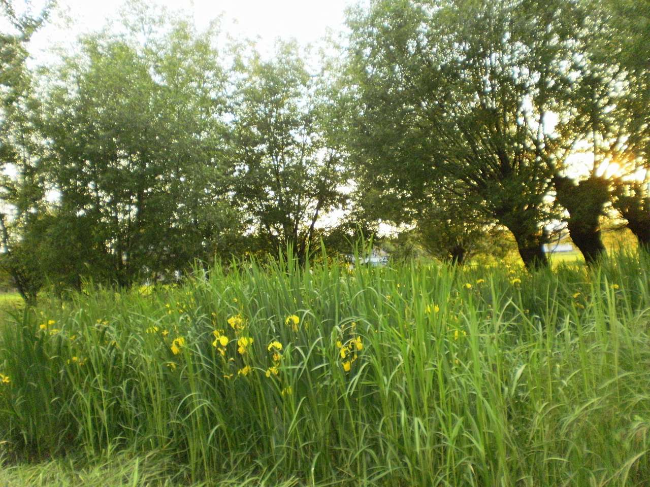 Черепківці - Черепківці