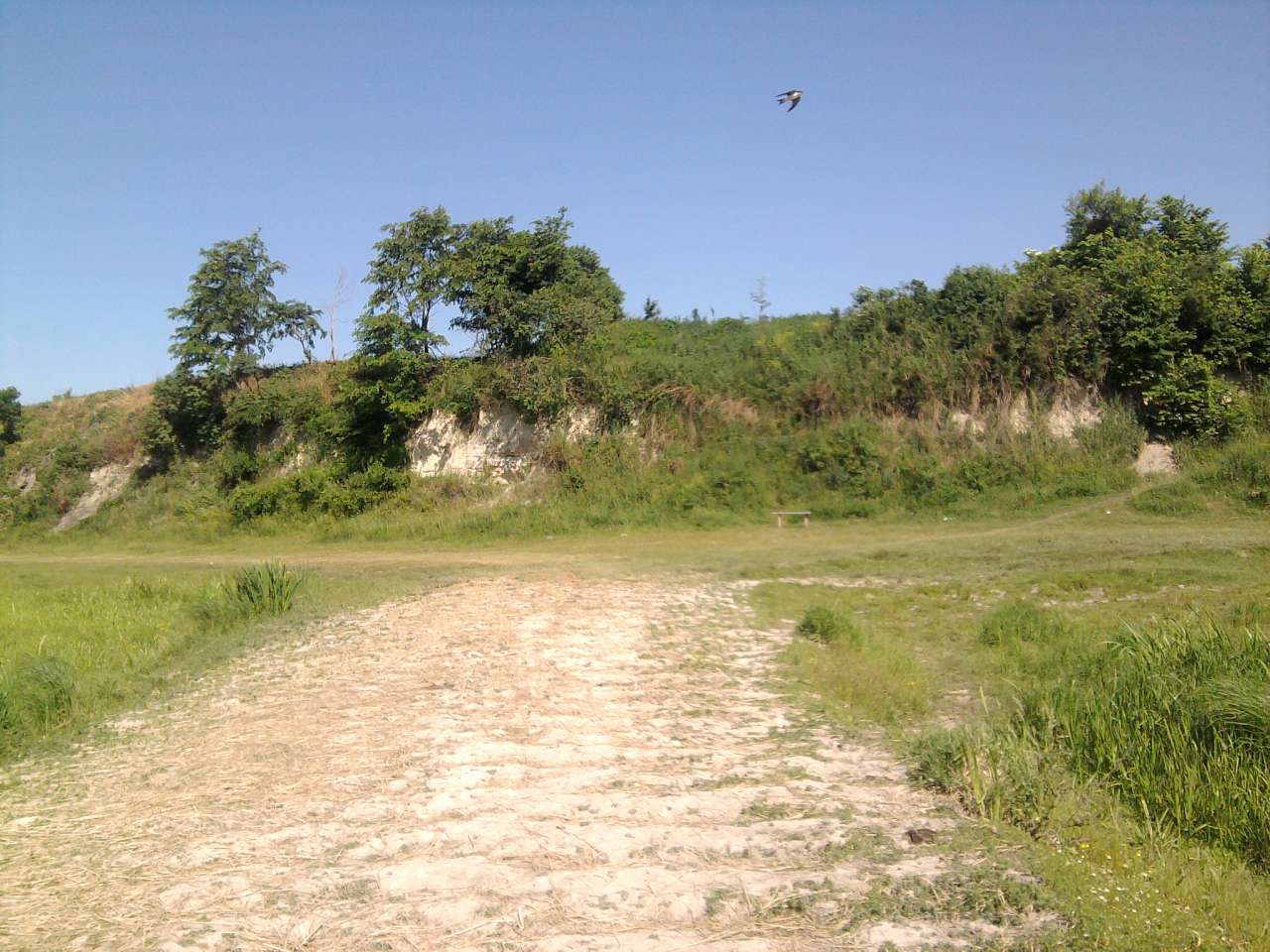 *** - Берестечко