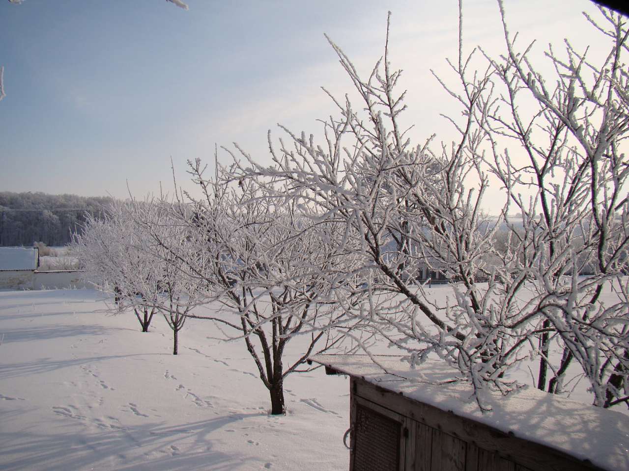 Богуславець - Богуславець