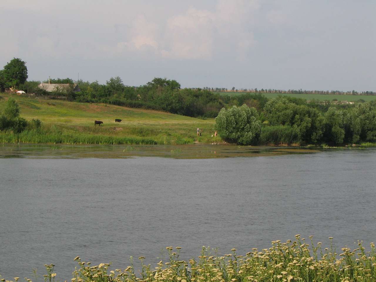 Велика Мечетня          Миколаївської області - Великая Мечетня