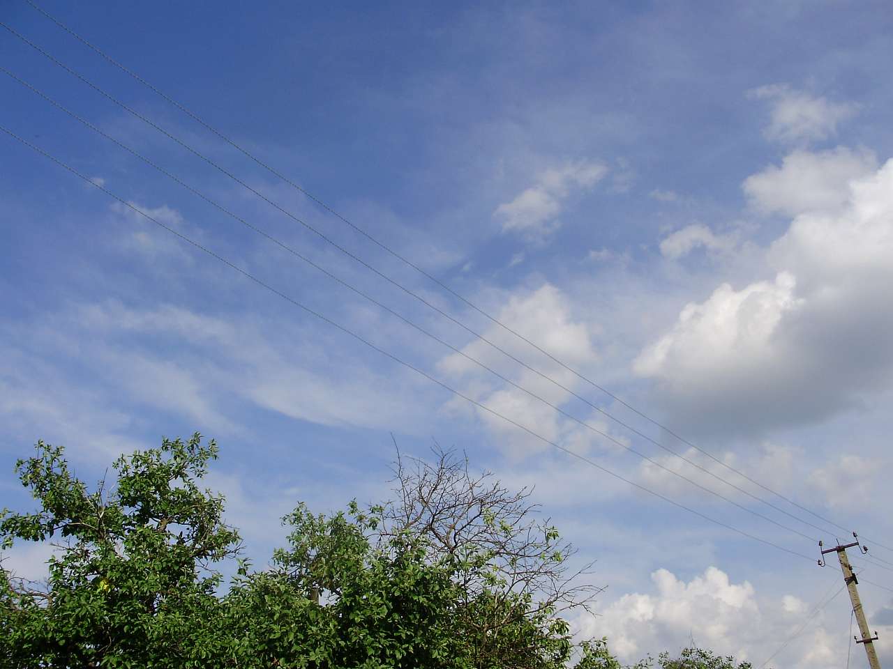 Риботин - Rybotyn