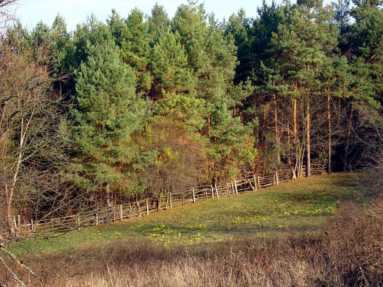 Корчi,Лозова i т.п. - Говори