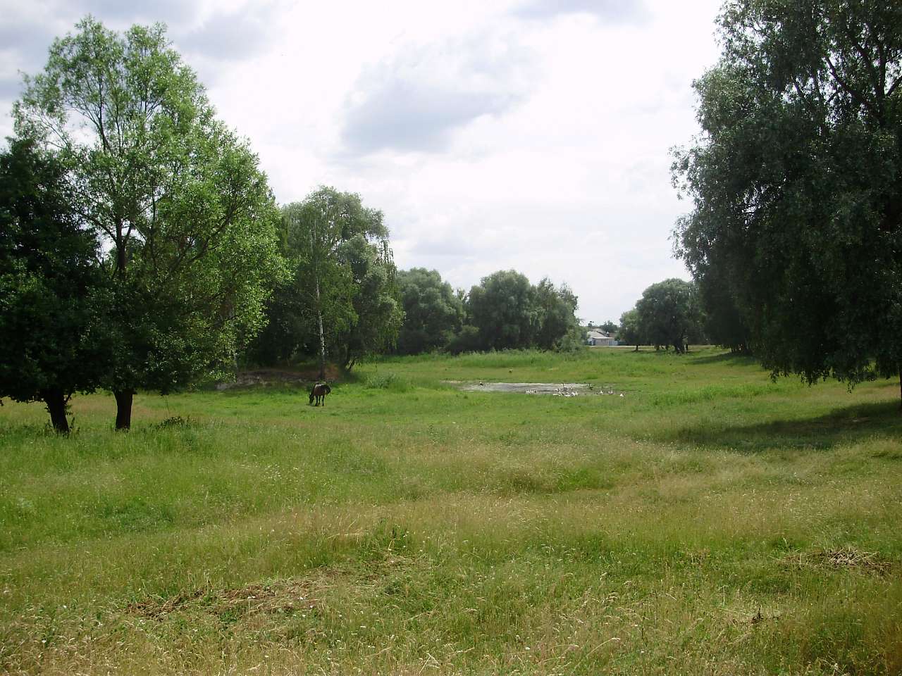 Риботин - Риботин