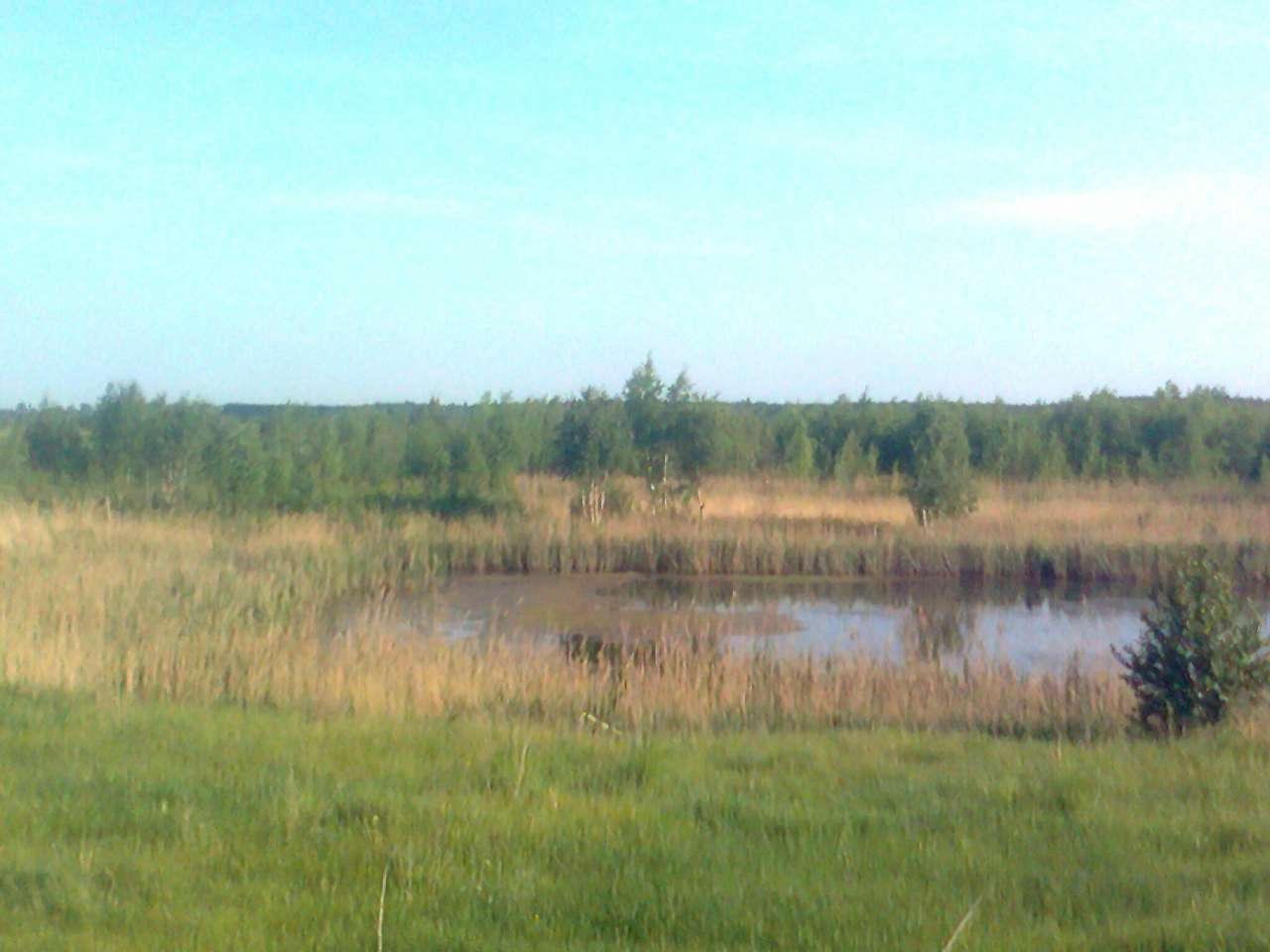 Природа - Тумень