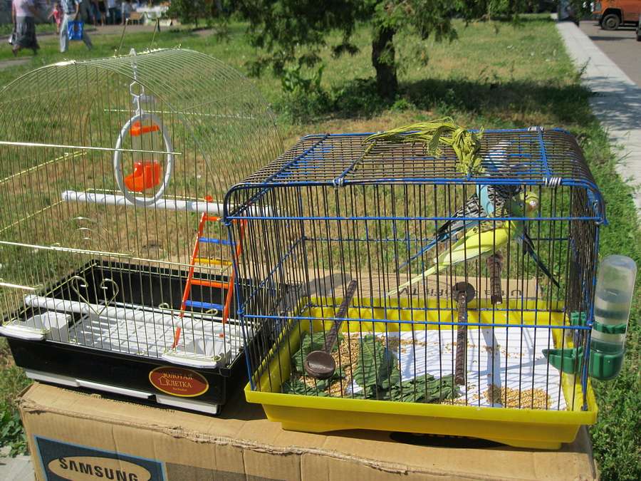 Троїцький ярмарок 12.06.2011 - Мена