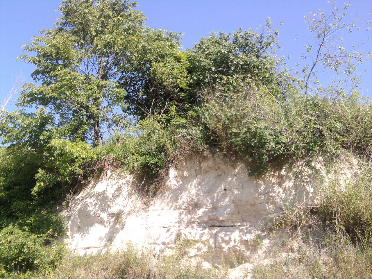 *** - Берестечко