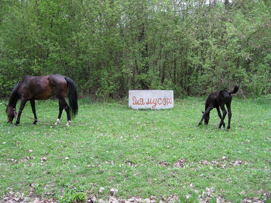 Славне місто Чернігів - Чернігів