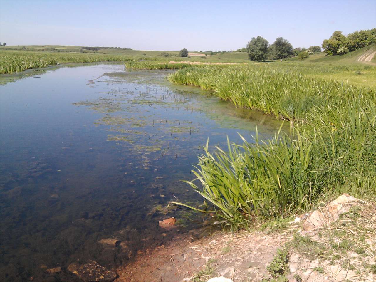 *** - Берестечко