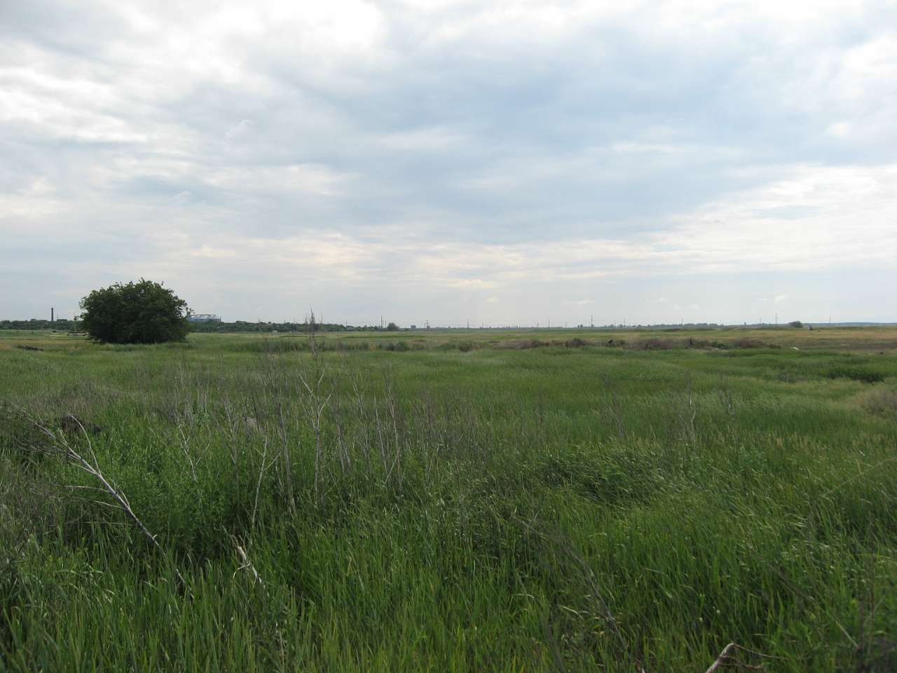 Мелiоративне - Меліоративне