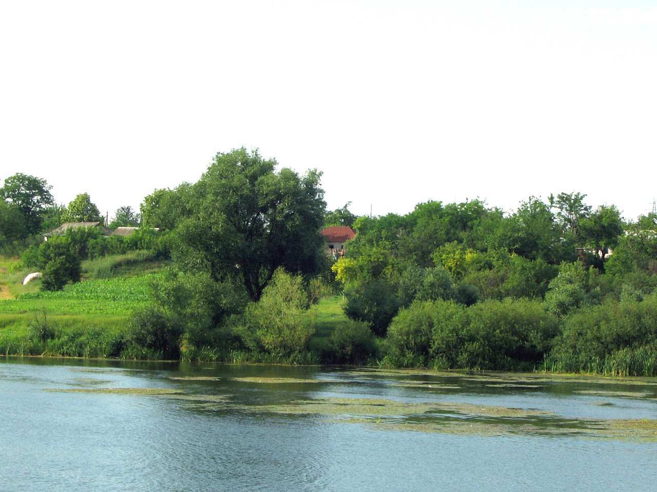 Велика Мечетня          Миколаївської області - Великая Мечетня