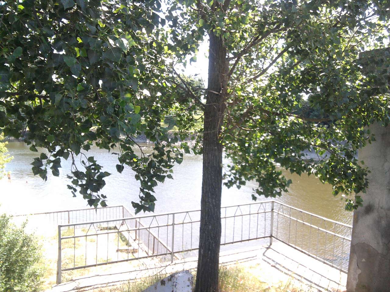 Хрінники - Хрінники