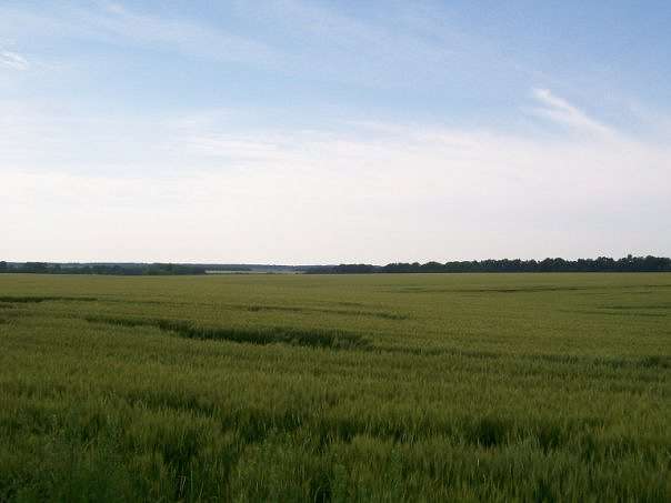 Малинівка (Гута Літинська) - Малинівка