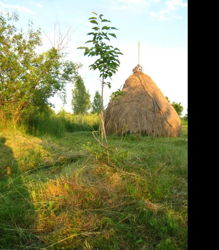 І СВІТАЄ, І СМЕРКАЄ - Небылов