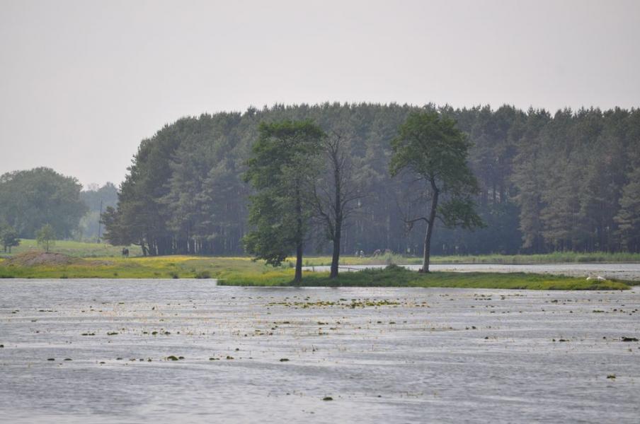 вулицями Кімнати - Кімнатка