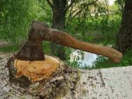 В гостях у фермера