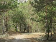 Мальовничі краєвиди