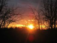 Мальовничі краєвиди