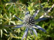 природа Слобідки