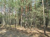 Мальовничі краєвиди