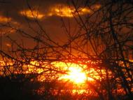 Мальовничі краєвиди