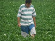 На угіддях Галича