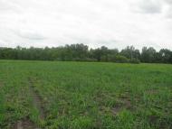 На угіддях Галича