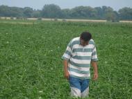 На угіддях Галича