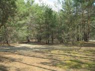 Мальовничі краєвиди