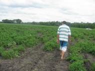 На угіддях Галича