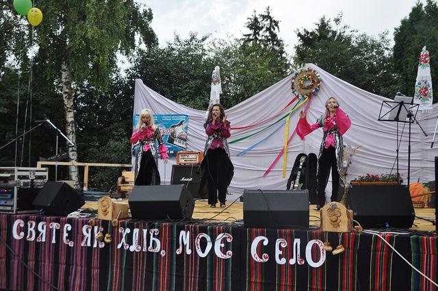 День села - Несвіч