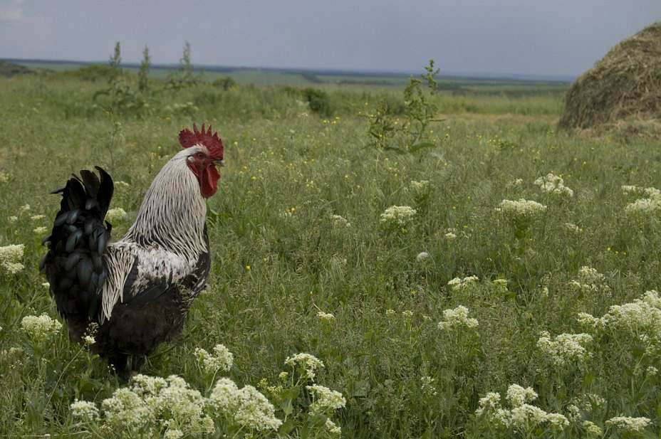 село - Винаровка