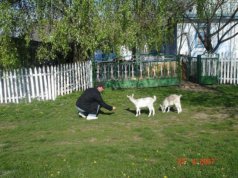 Остріїв - Остріїв